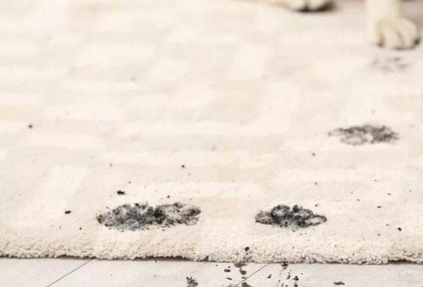 Revealing The Best Ways To Remove Mud From Carpets Quickly